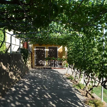 Apartments Elizabeta Draga Bascanska Exterior photo